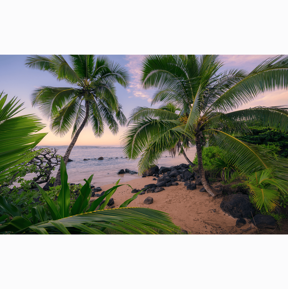 Dein Traumzimmer Komar Fototapete - S.Hefele 2 - Hawaiian Dreams Fototapeten