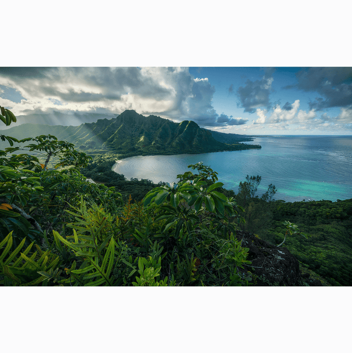 Dein Traumzimmer Komar Fototapete - S.Hefele 2 - Jurassic Island Fototapeten
