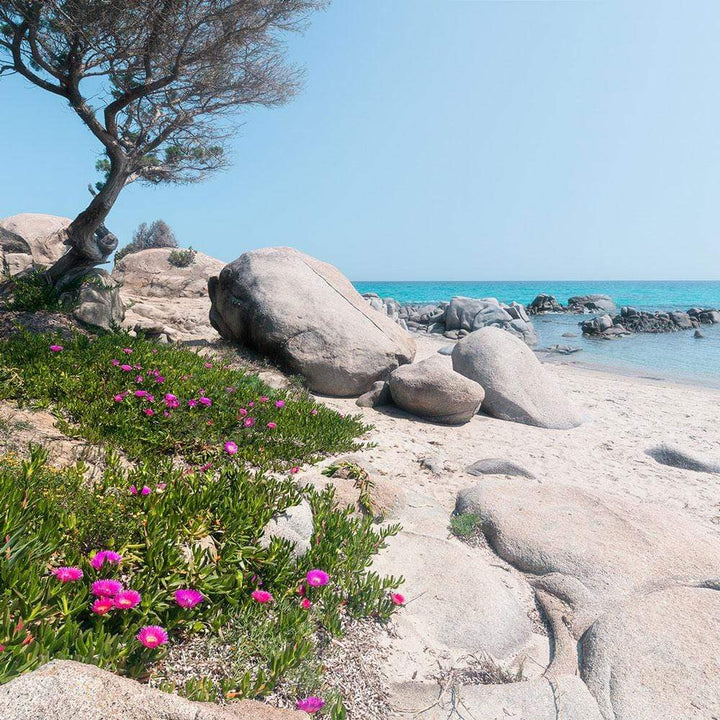 Dein Traumzimmer Komar Fototapete - S.Hefele 2 - Mediterrane Träume Fototapeten