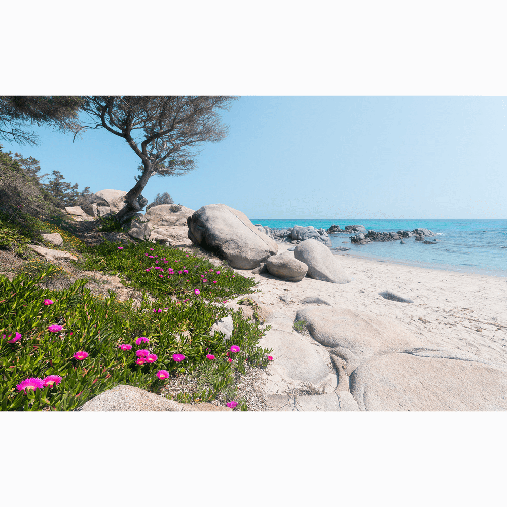 Dein Traumzimmer Komar Fototapete - S.Hefele 2 - Mediterrane Träume Fototapeten