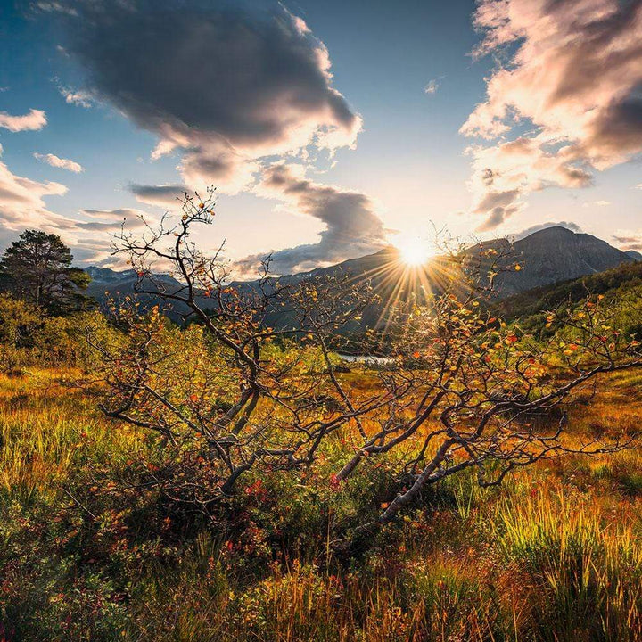 Dein Traumzimmer Komar Fototapete - S.Hefele 2 - Norwegische Herbstwelten Fototapeten