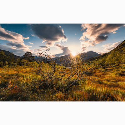 Dein Traumzimmer Komar Fototapete - S.Hefele 2 - Norwegische Herbstwelten Fototapeten