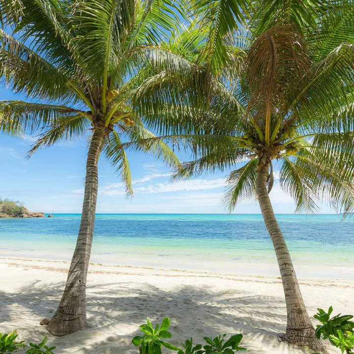 Dein Traumzimmer Komar Fototapete - S.Hefele 2 - Palmy Beach Fototapeten