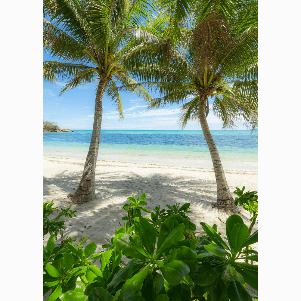 Dein Traumzimmer Komar Fototapete - S.Hefele 2 - Palmy Beach Fototapeten