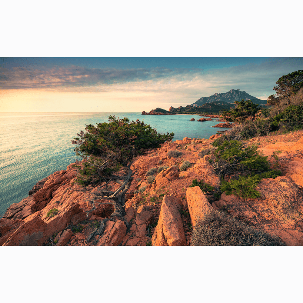 Dein Traumzimmer Komar Fototapete - S.Hefele 2 - Paradiso II Fototapeten