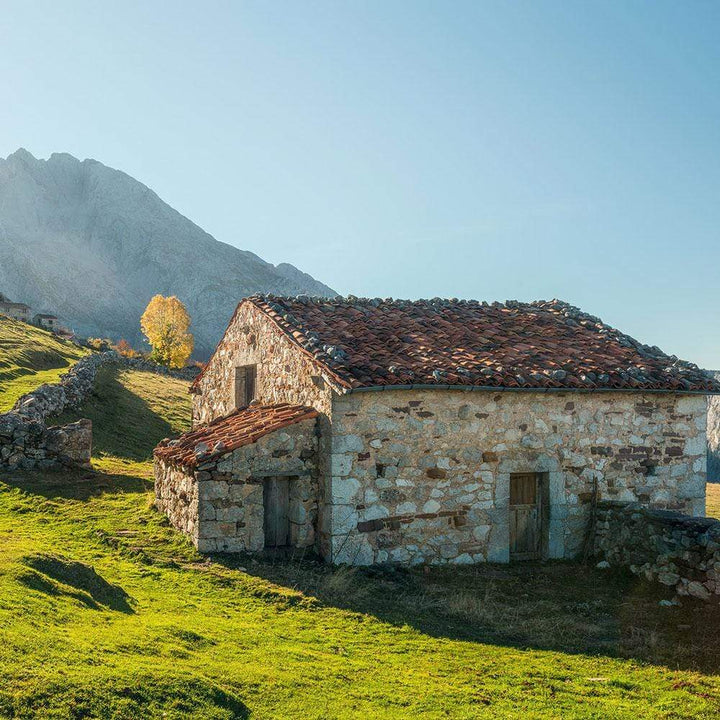 Dein Traumzimmer Komar Fototapete - S.Hefele 2 - Picos de Europe Alm Fototapeten