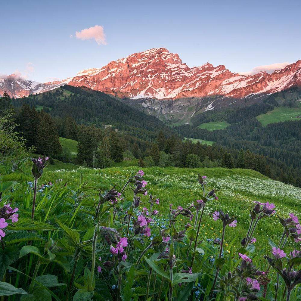 Dein Traumzimmer Komar Fototapete - S.Hefele 2 - Picturesque Switzerland Fototapeten