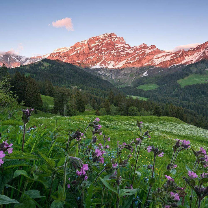Dein Traumzimmer Komar Fototapete - S.Hefele 2 - Picturesque Switzerland Fototapeten
