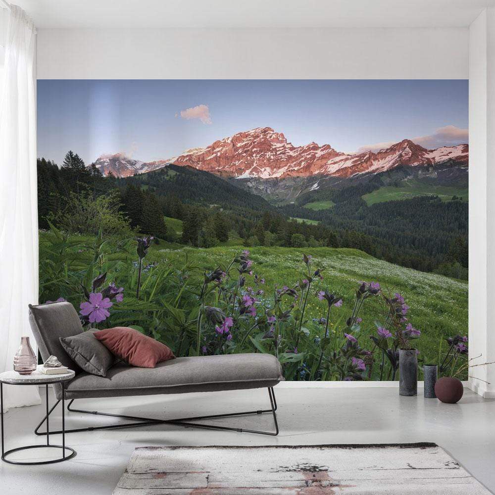 Dein Traumzimmer Komar Fototapete - S.Hefele 2 - Picturesque Switzerland Fototapeten
