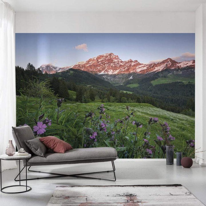 Dein Traumzimmer Komar Fototapete - S.Hefele 2 - Picturesque Switzerland Fototapeten