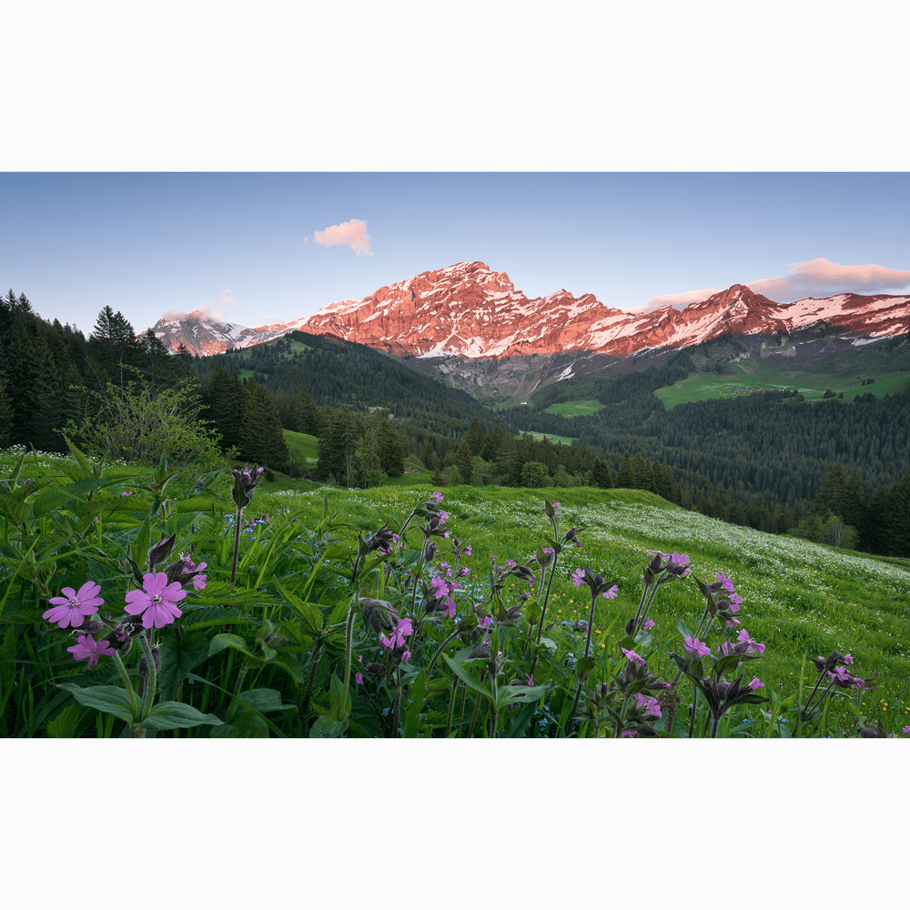 Dein Traumzimmer Komar Fototapete - S.Hefele 2 - Picturesque Switzerland Fototapeten