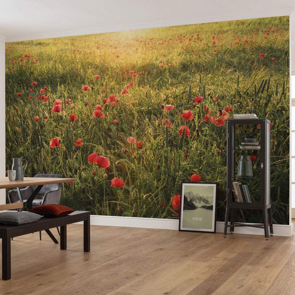 Dein Traumzimmer Komar Fototapete - S.Hefele 2 - Poppy World Fototapeten