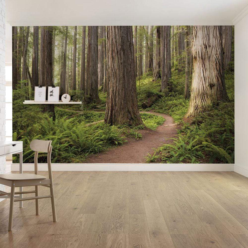 Dein Traumzimmer Komar Fototapete - S.Hefele 2 - Redwood Trail Fototapeten