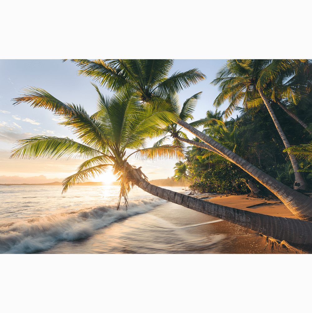 Dein Traumzimmer Komar Fototapete - S.Hefele 2 - Strandgeheimnis Fototapeten