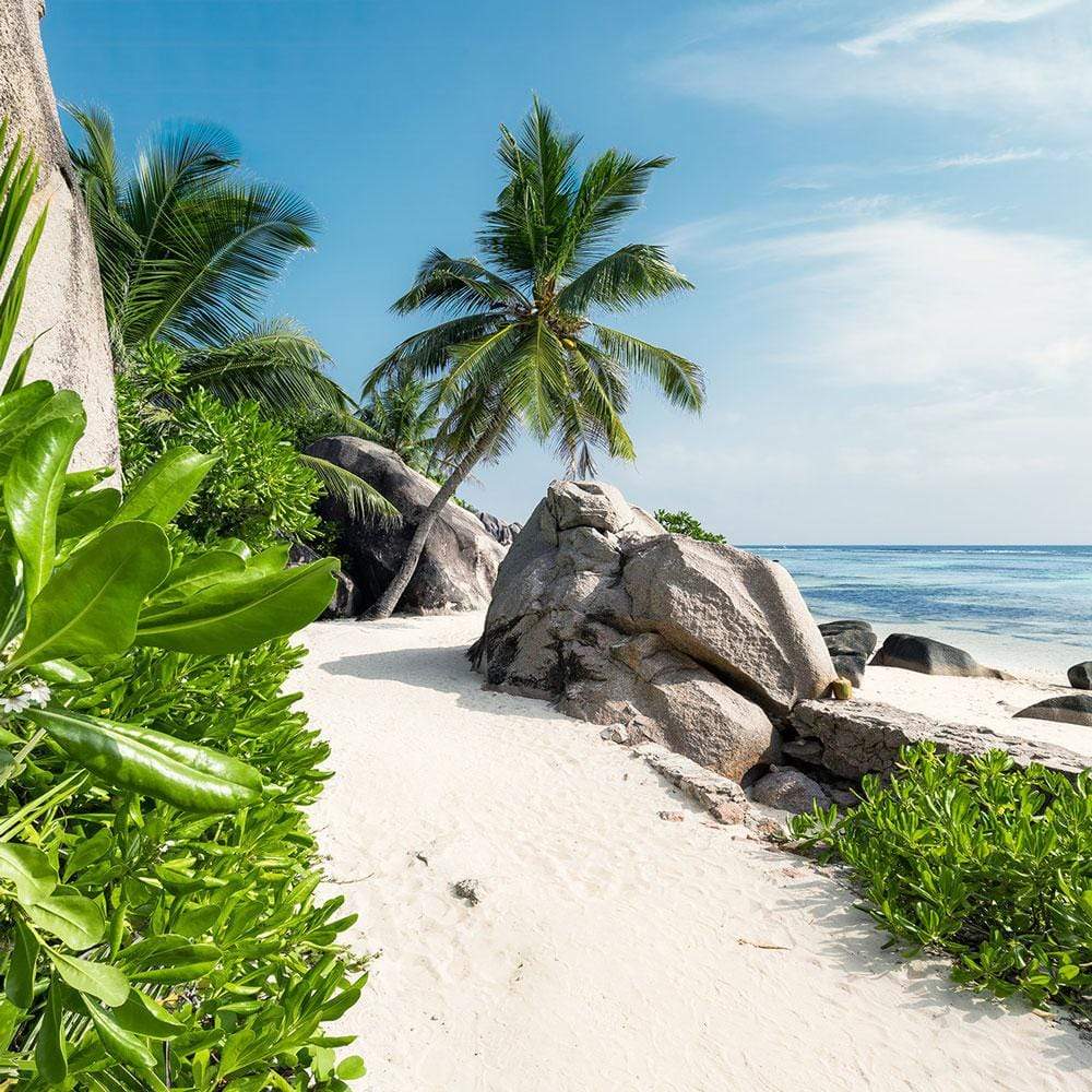 Dein Traumzimmer Komar Fototapete - S.Hefele 2 - Tagträume Fototapeten