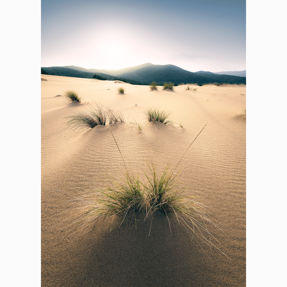 Dein Traumzimmer Komar Fototapete - S.Hefele 2 - Vivid Dunes Fototapeten