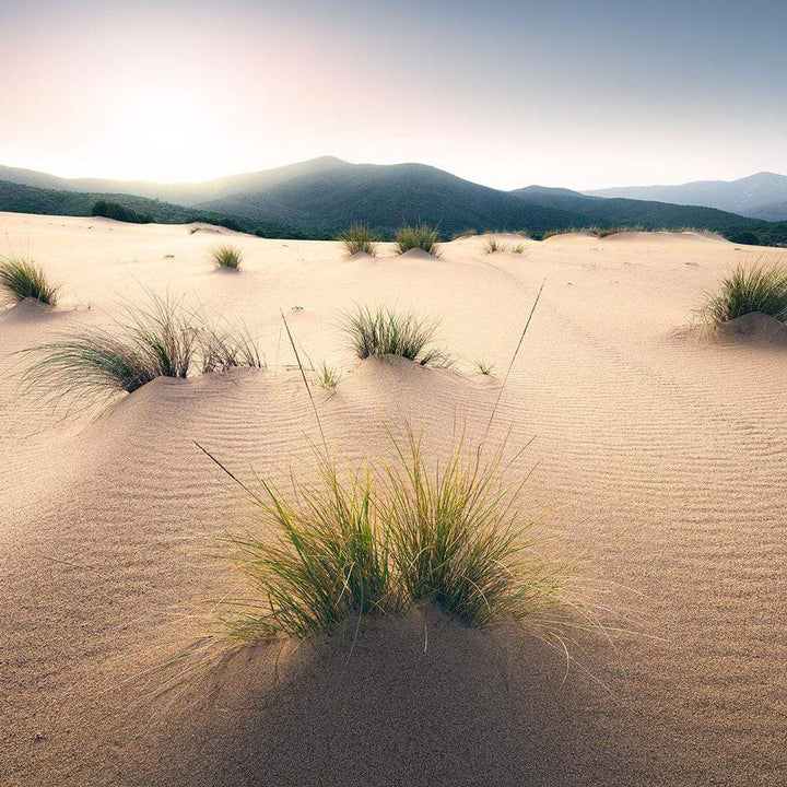 Dein Traumzimmer Komar Fototapete - S.Hefele 2 - Vivid Dunes Fototapeten