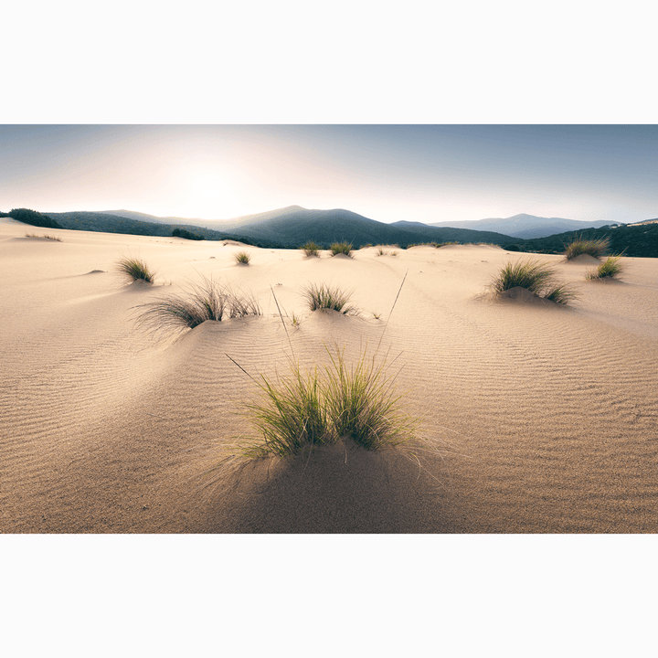 Dein Traumzimmer Komar Fototapete - S.Hefele 2 - Vivid Dunes Fototapeten