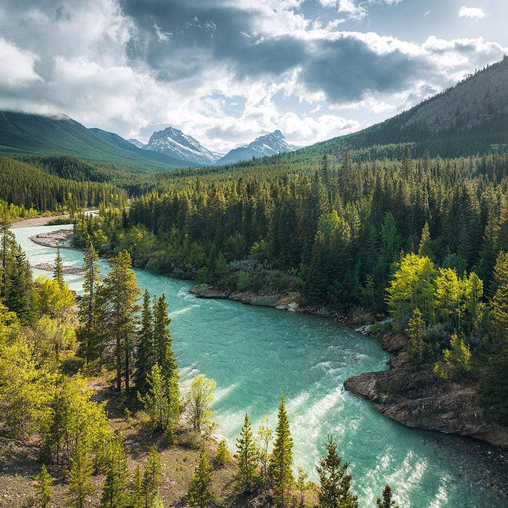 Dein Traumzimmer Komar Fototapete - S.Hefele 2 - Wild Canada Fototapeten