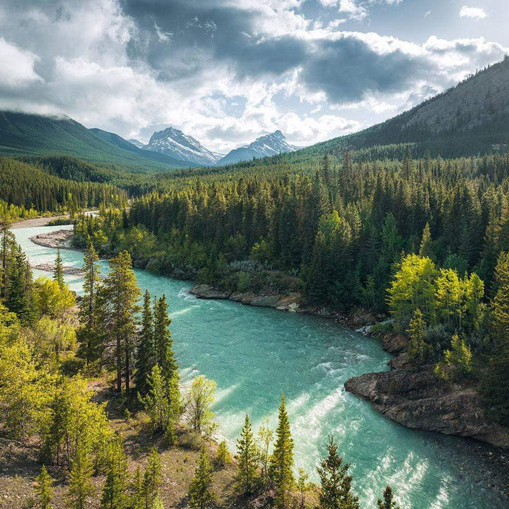 Dein Traumzimmer Komar Fototapete - S.Hefele 2 - Wild Canada Fototapeten