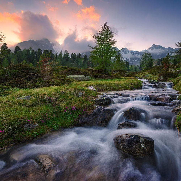 Dein Traumzimmer Komar Fototapete - S.Hefele 2 - Wild Paradise Fototapeten