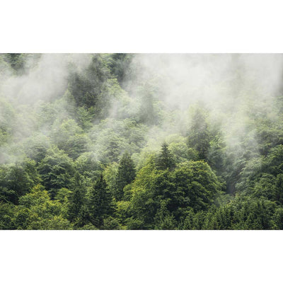 Dein Traumzimmer Komar Fototapete - S.Hefele - Forest Land Fototapeten