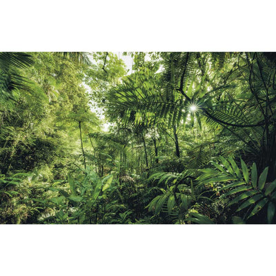 Dein Traumzimmer Komar Fototapete - S.Hefele - Into The Jungle Fototapeten