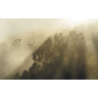 Dein Traumzimmer Komar Fototapete - S.Hefele - Misty Mountain Fototapeten