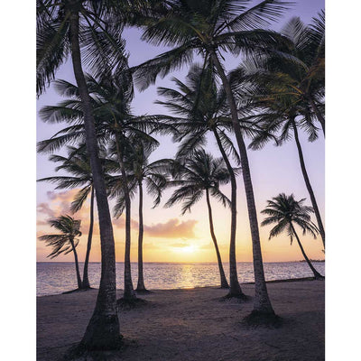 Dein Traumzimmer Komar Fototapete - S.Hefele - Palmtrees on Beach K-FT-SH022-VD2