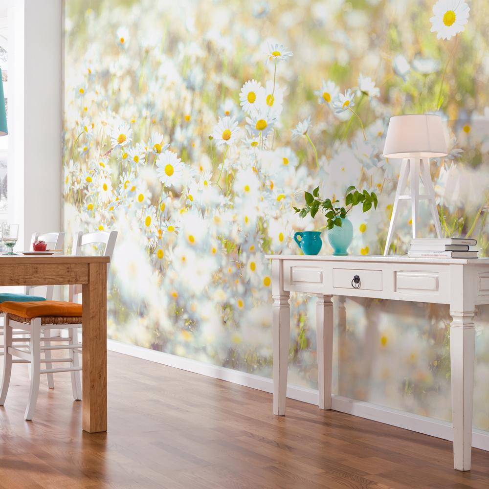 Dein Traumzimmer Komar Fototapete - Vol.15 - Daisies Fototapeten