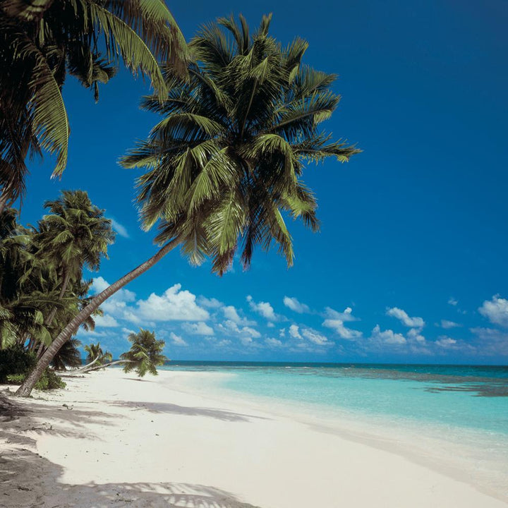 Dein Traumzimmer Komar Fototapete - Vol.15 - Maldives Fototapeten