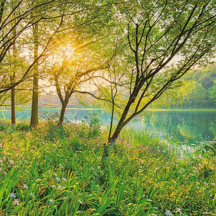 Dein Traumzimmer Komar Fototapete - Vol.15 - Spring Lake Fototapeten