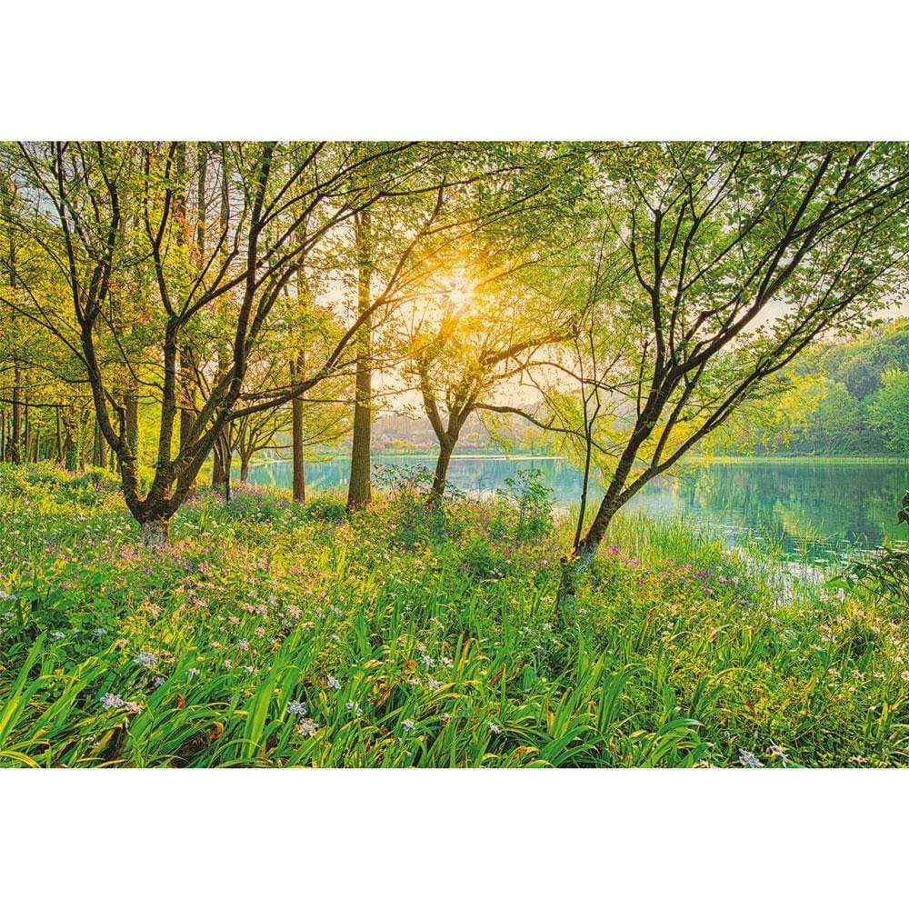 Dein Traumzimmer Komar Fototapete - Vol.15 - Spring Lake Fototapeten