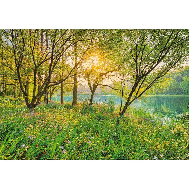 Dein Traumzimmer Komar Fototapete - Vol.15 - Spring Lake Fototapeten