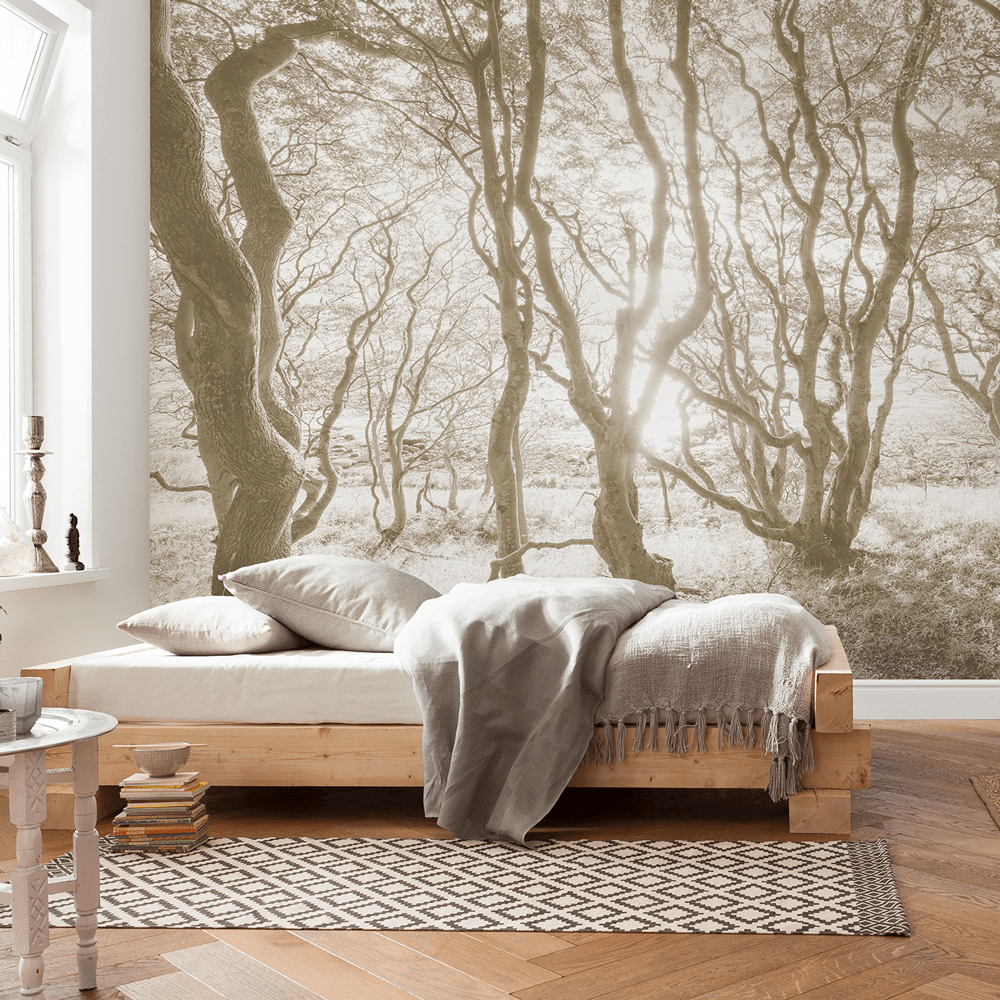 komar vlies fototapete - infinity 2 - bleached birch i dein